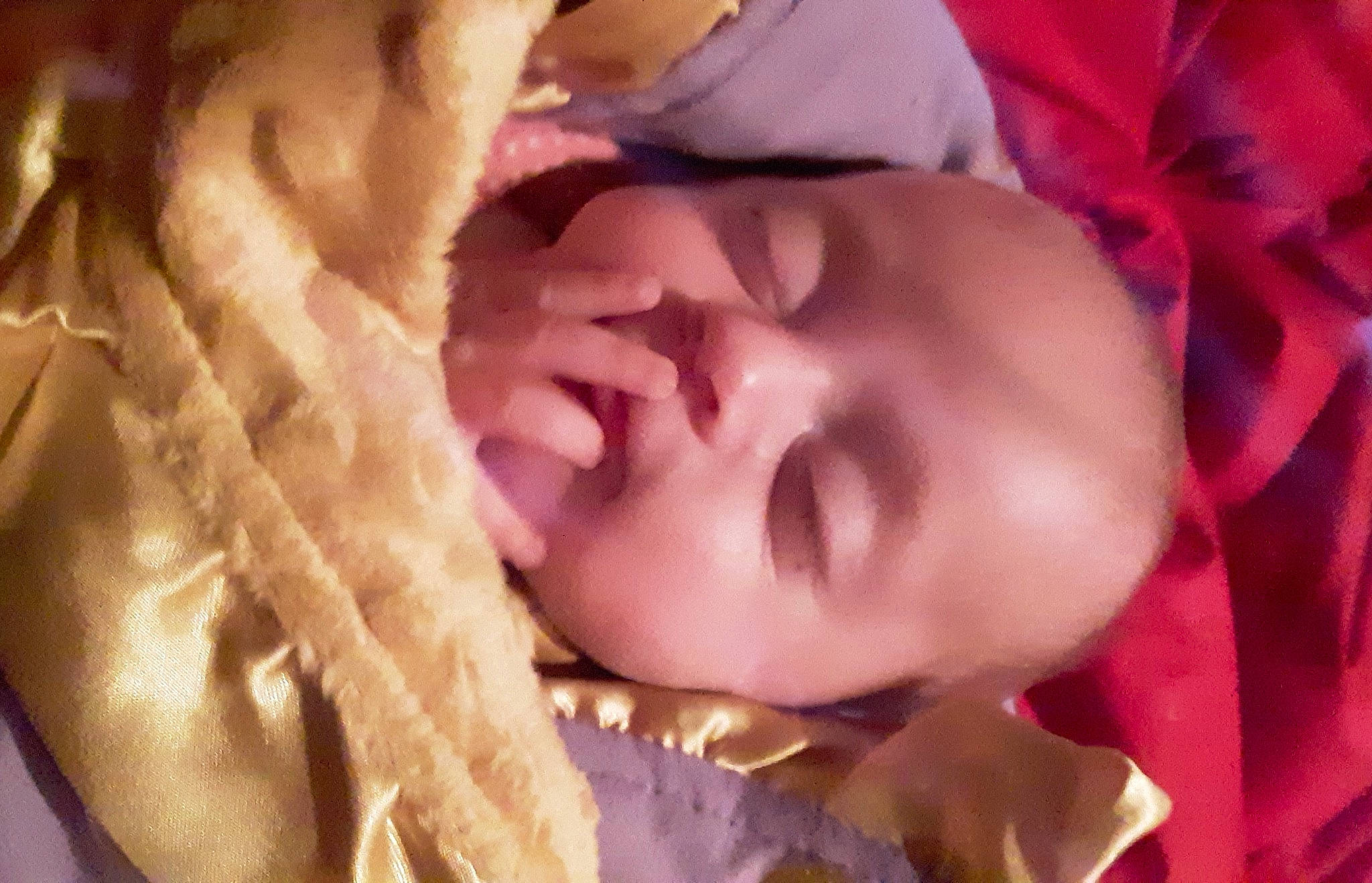 Della is registered to the contest to win money with this photo: baby, cheek, child, close_up, comfort, eye, eyelash, finger, fur, hand, happy, head, lip, magenta, mouth, nose, person, petal, plant, skin