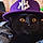 Bagheera