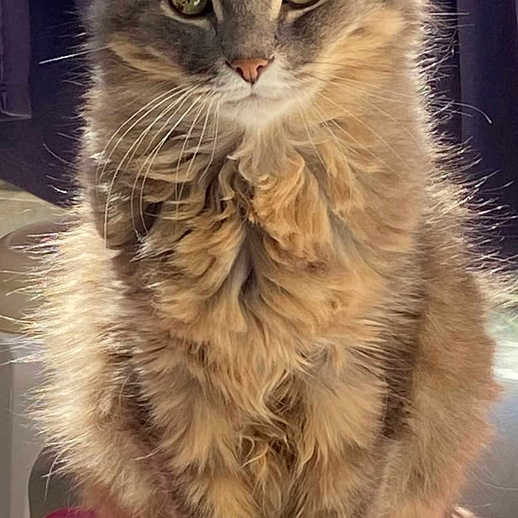 Eros