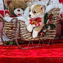 puppy, dog, sleigh, christmas, holiday, decoration, bow, pinecone, berries, teddy_bear, gift, roses, red_velvet, festive, cute, animal, winter, cozy, background, indoor