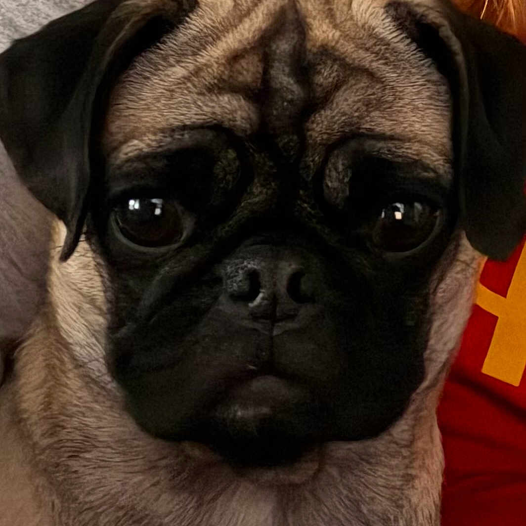 Lucy