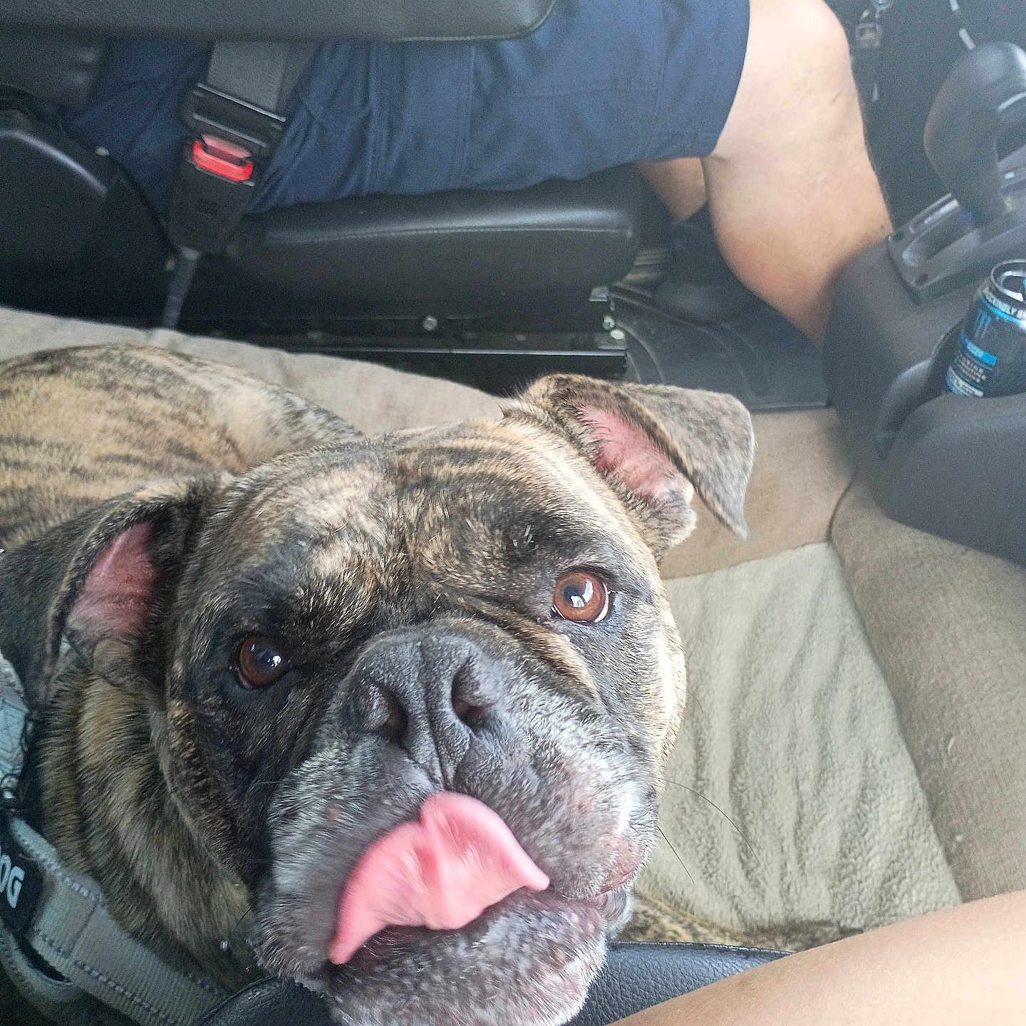 Axle