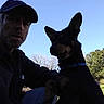 animal, blue_sky, cap, casual, collar, daytime, dog, friendship, grass, leisure, man, nature, outdoor, person, pet, portrait, shadow, silhouette, sky, tree