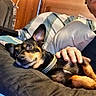 dog, person, hand, couch, pillow, indoor, glasses, relaxing, pet, collar, furniture, wooden_wall, casual_clothing, comfort, resting, companion, domestic, brown, black, male