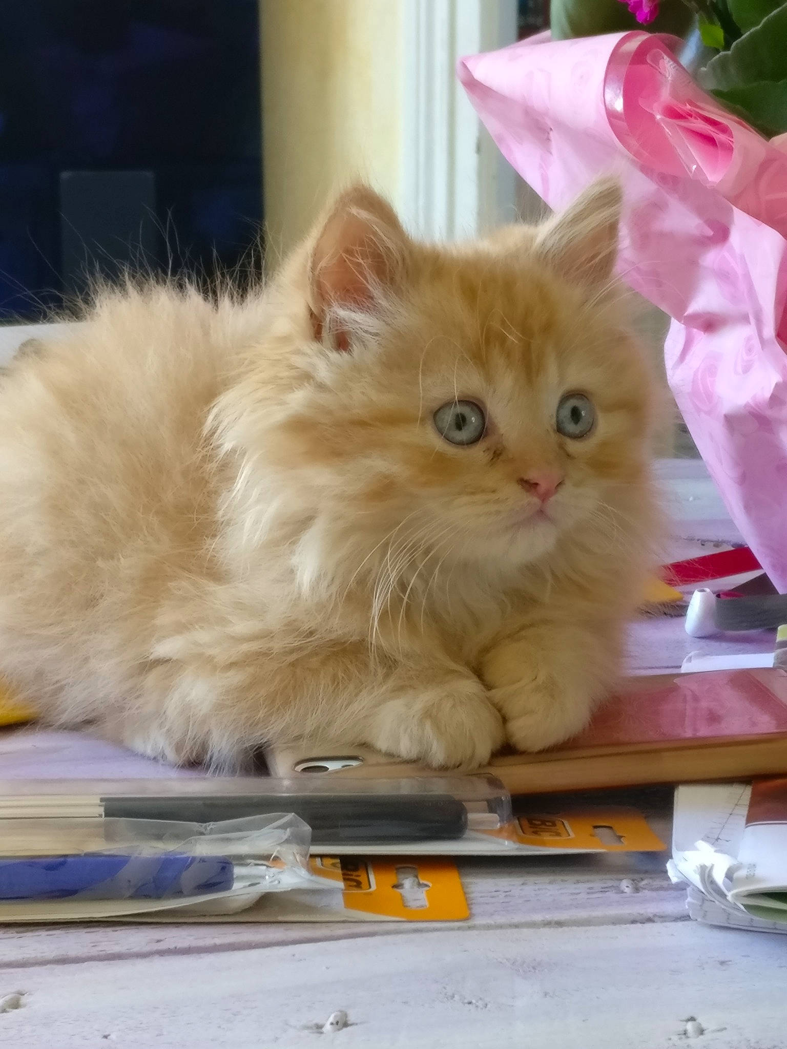 Leo