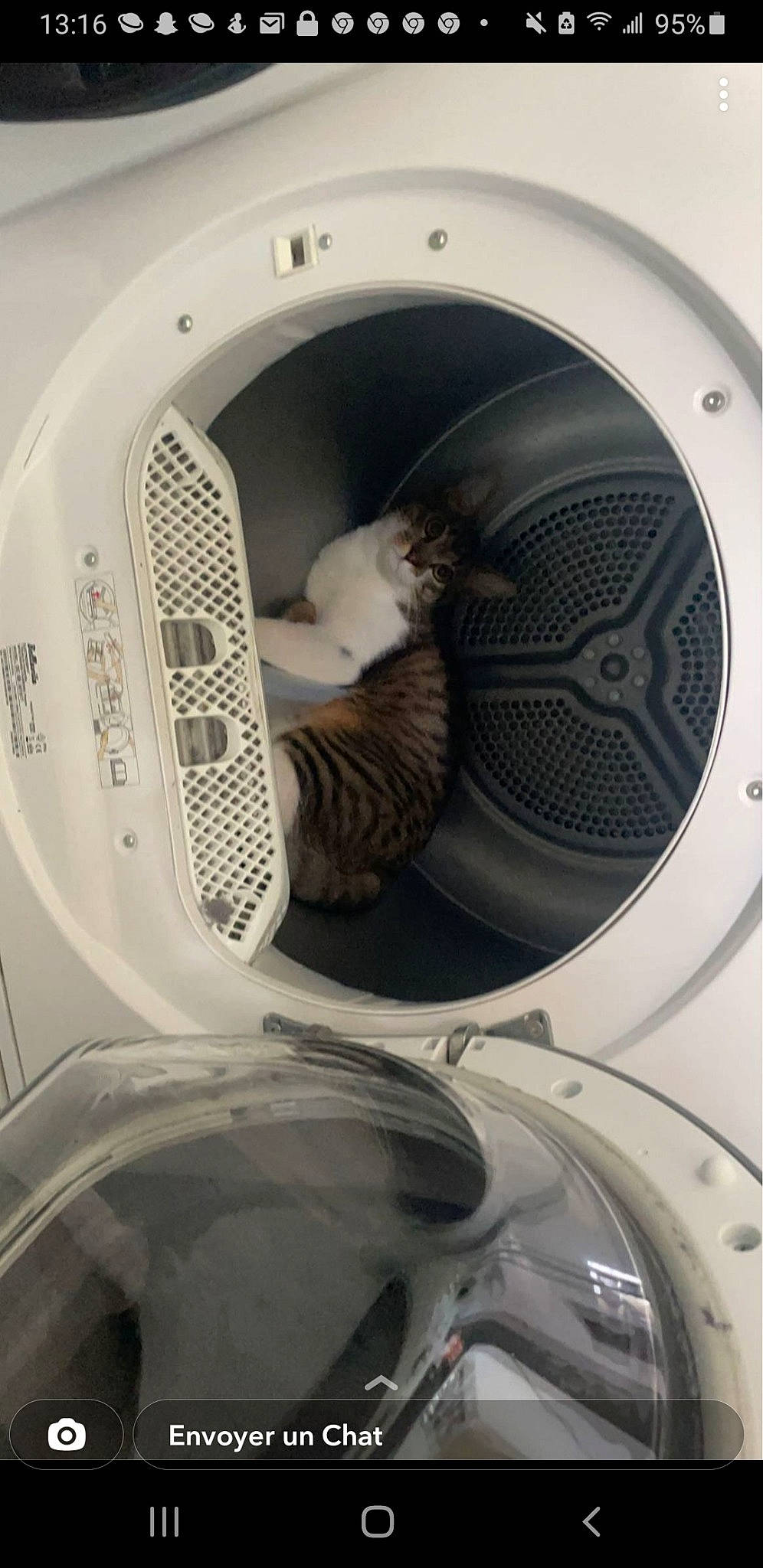 Titi participe au concours pour gagner de l'argent avec cette photo : alloy_wheel, audio_equipment, auto_part, automotive_design, automotive_exterior, automotive_lighting, automotive_tire, automotive_wheel_system, clothes_dryer, design, fender, grey, headlamp, hood, machine, major_appliance, metal, motor_vehicle, rim, white