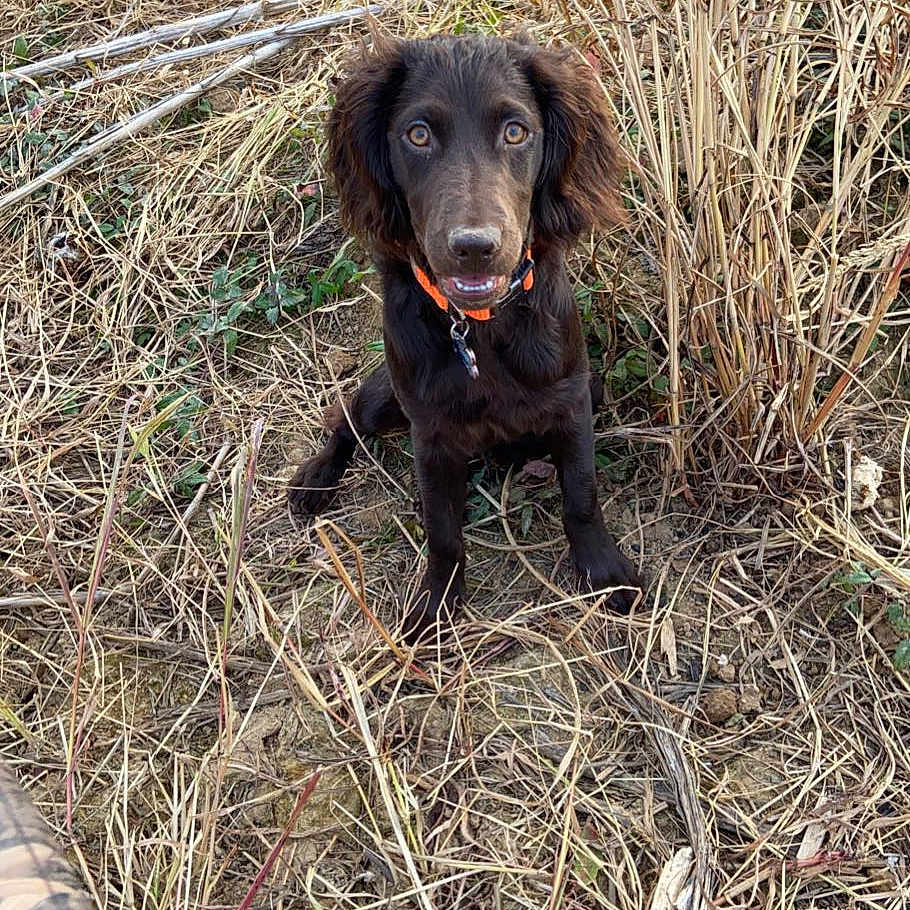 Oakley