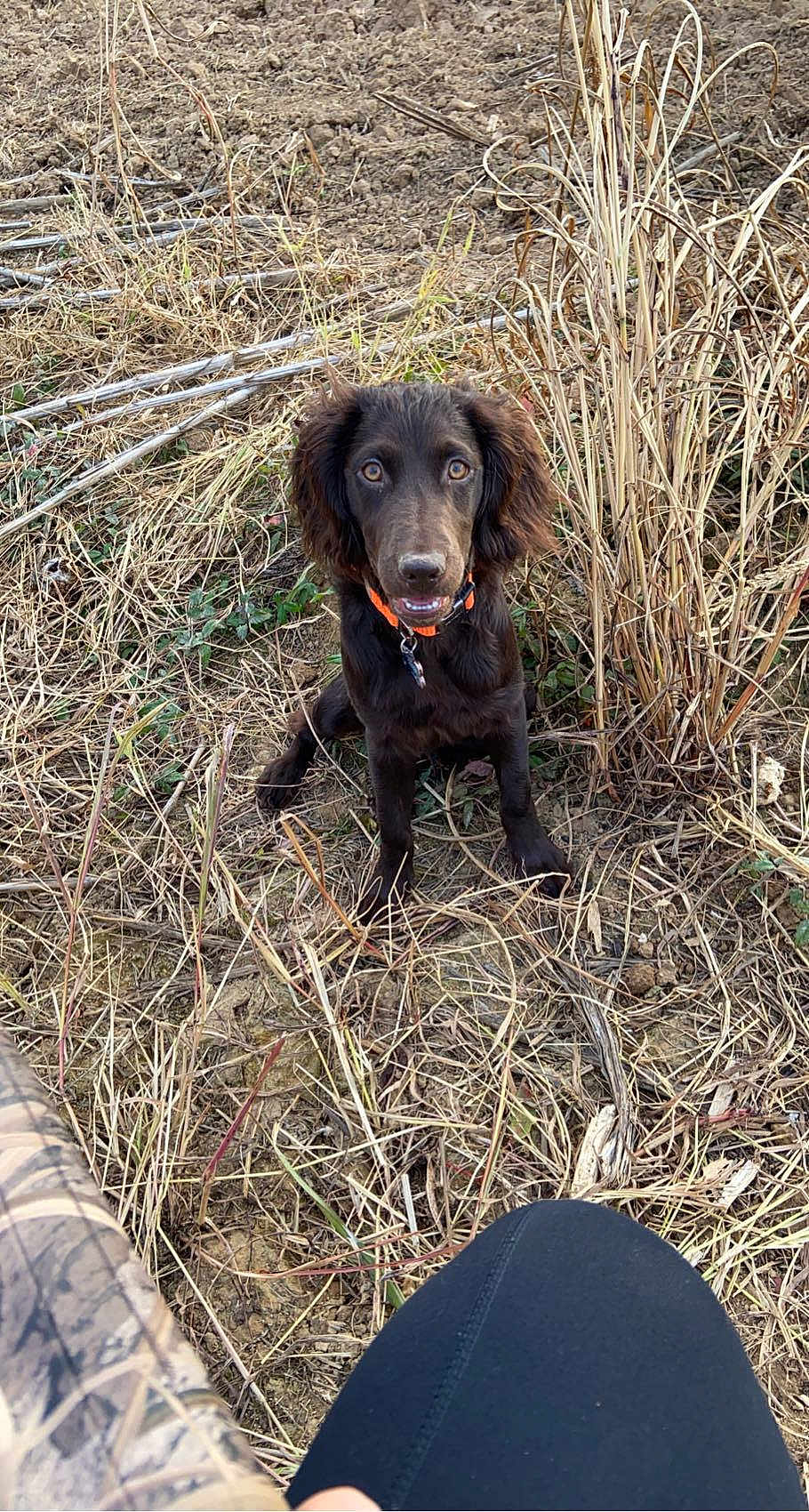 Oakley