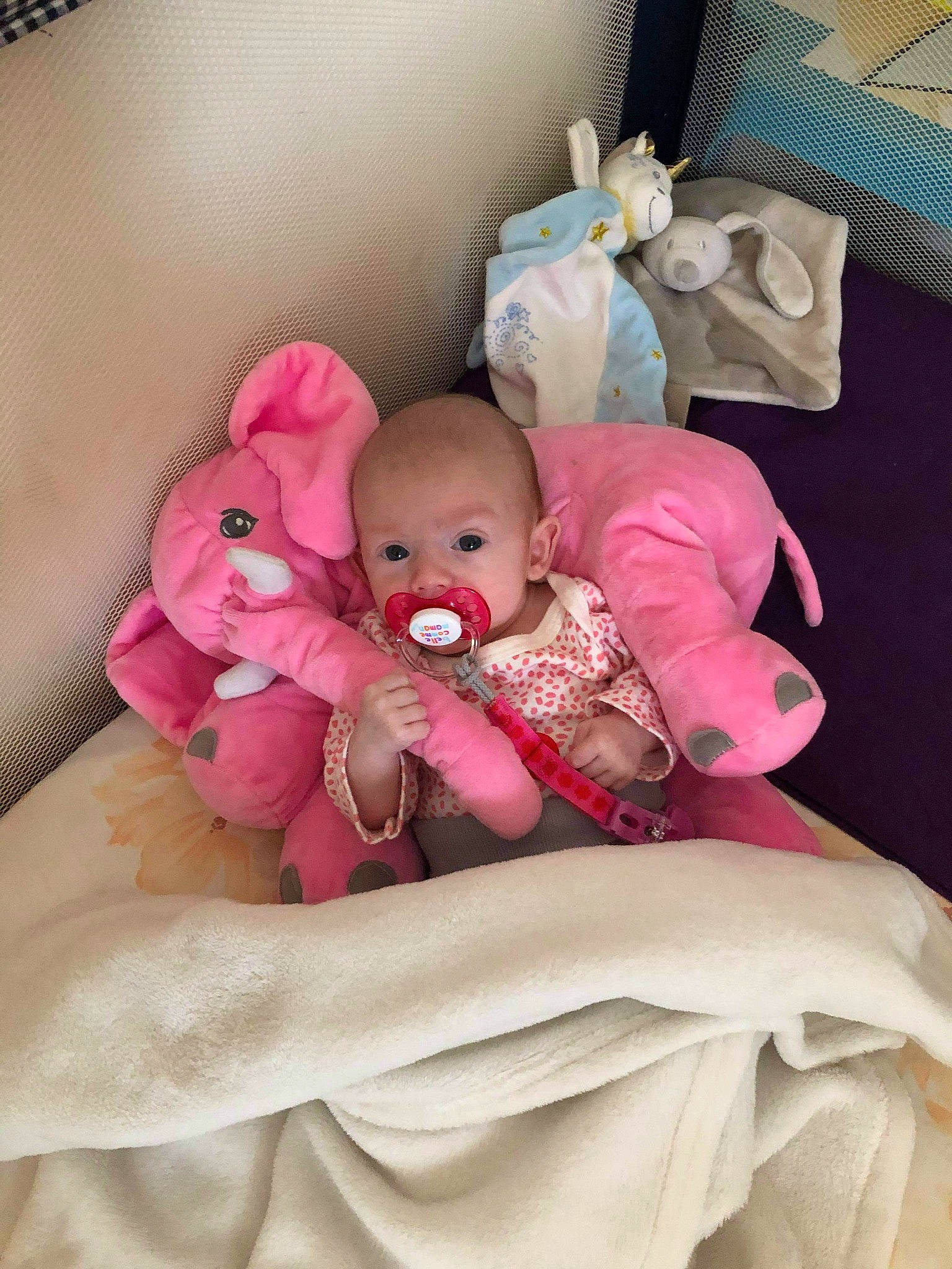 Amelia participe au concours pour gagner de l'argent avec cette photo : baby, baby_products, baby_toys, bed, cheek, child, doll, furniture, infant_bed, person, pink, product, room, stuffed_toy, textile, toddler, toy