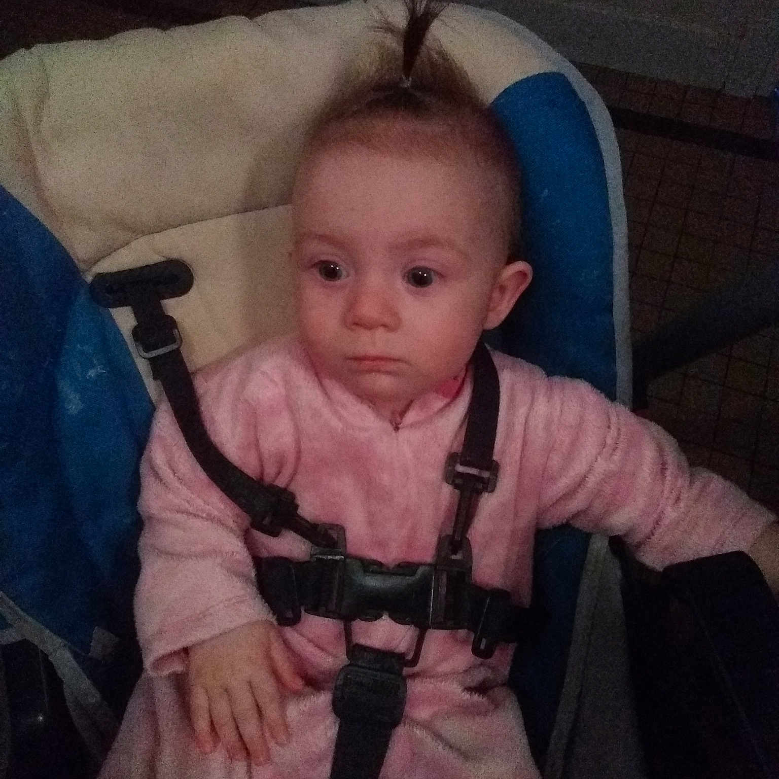 Amelia