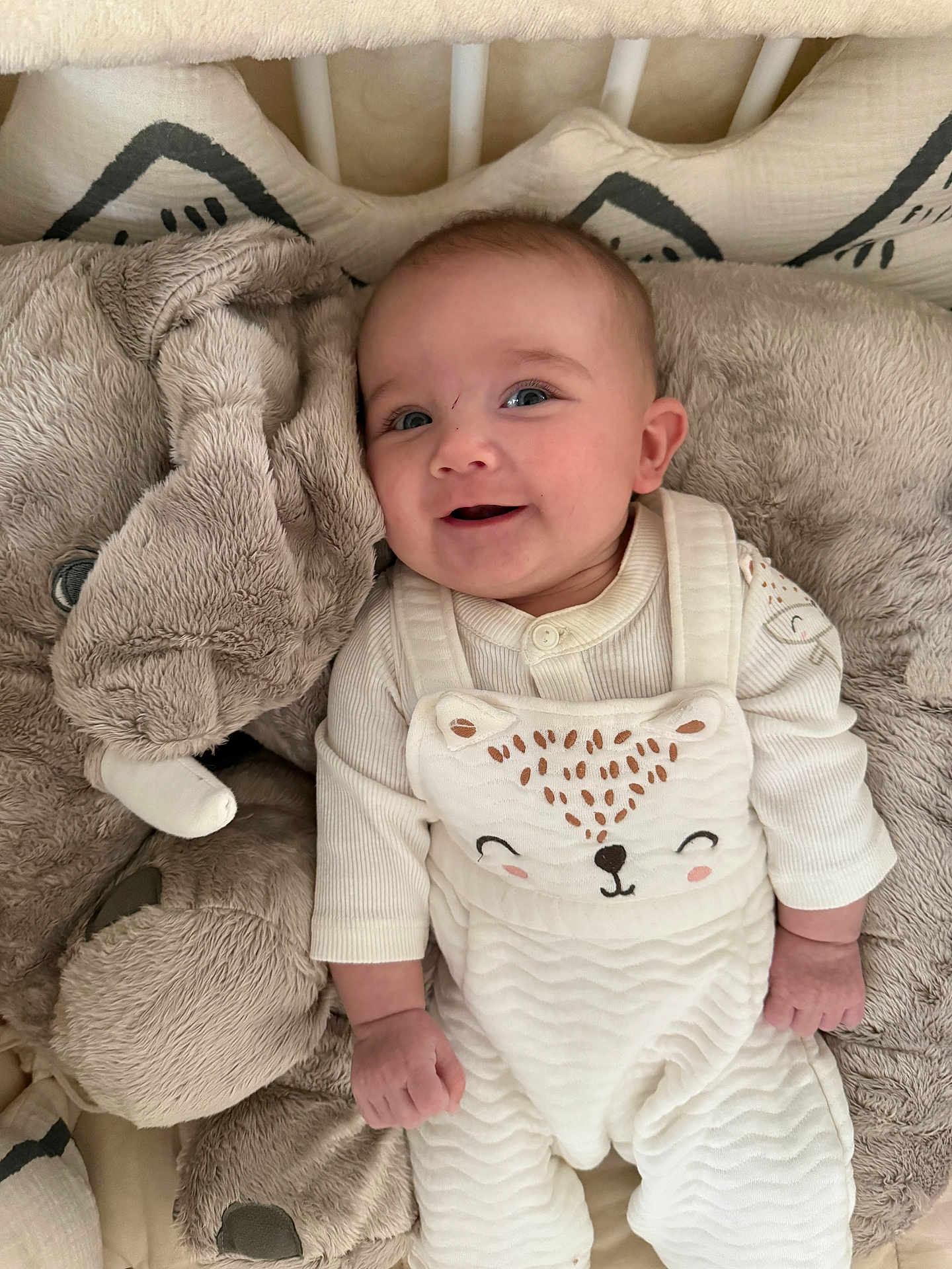 Lise participe au concours pour gagner de l'argent avec cette photo : baby, infant, smile, face, clothing, onesie, plush, elephant, pillow, crib, bed, soft, cute, child, person, happy, indoors, laying, cozy, white