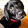 Onyx