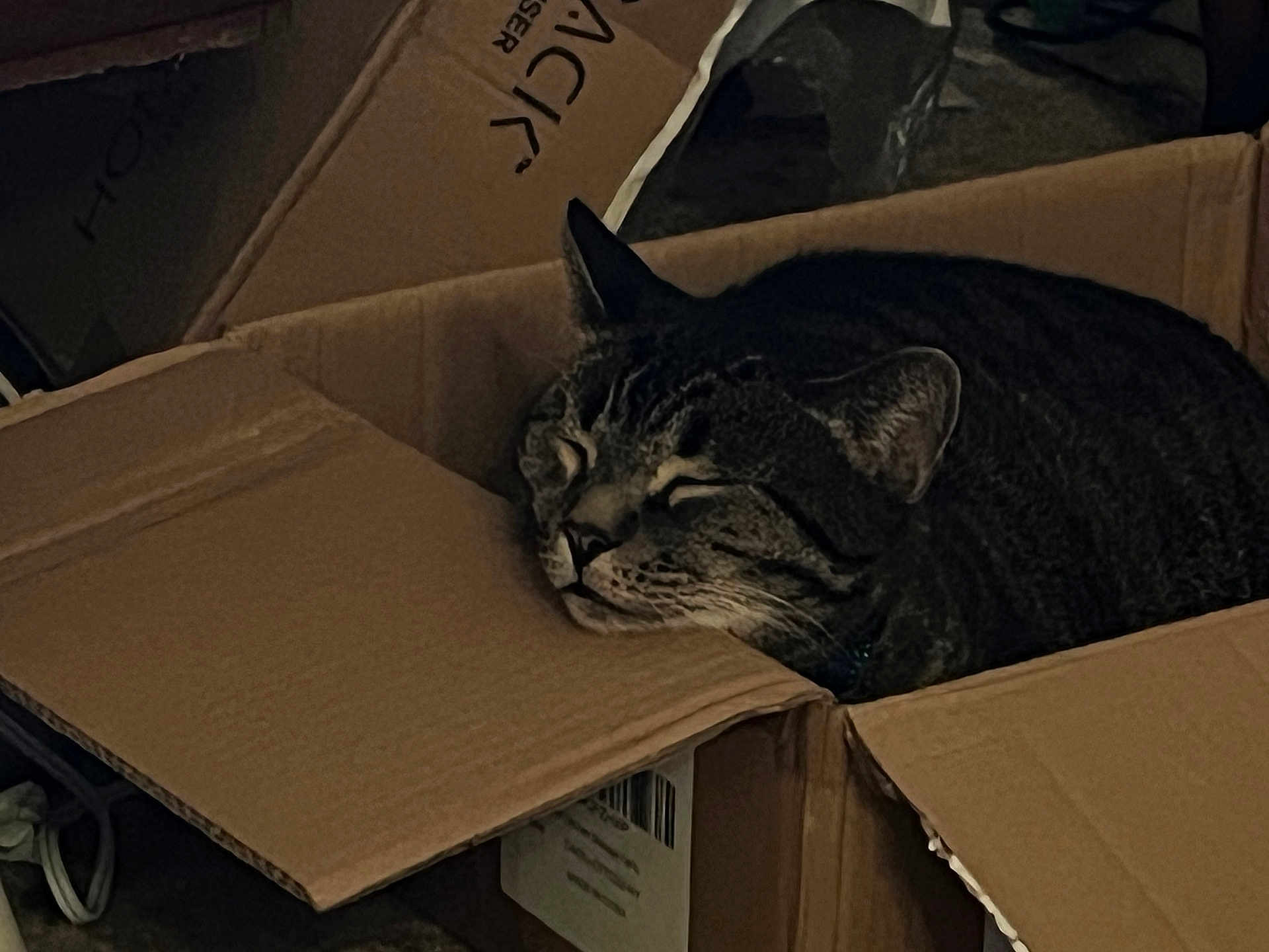 Obie