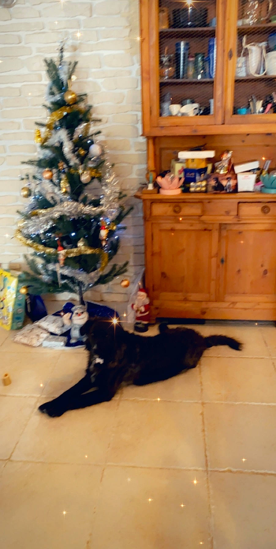 Eathers participe au concours pour gagner de l'argent avec cette photo : cat, christmas, christmas_decoration, christmas_ornament, christmas_tree, fawn, floor, holiday, houseplant, interior_design, plant, room, sporting_group, tree, wood