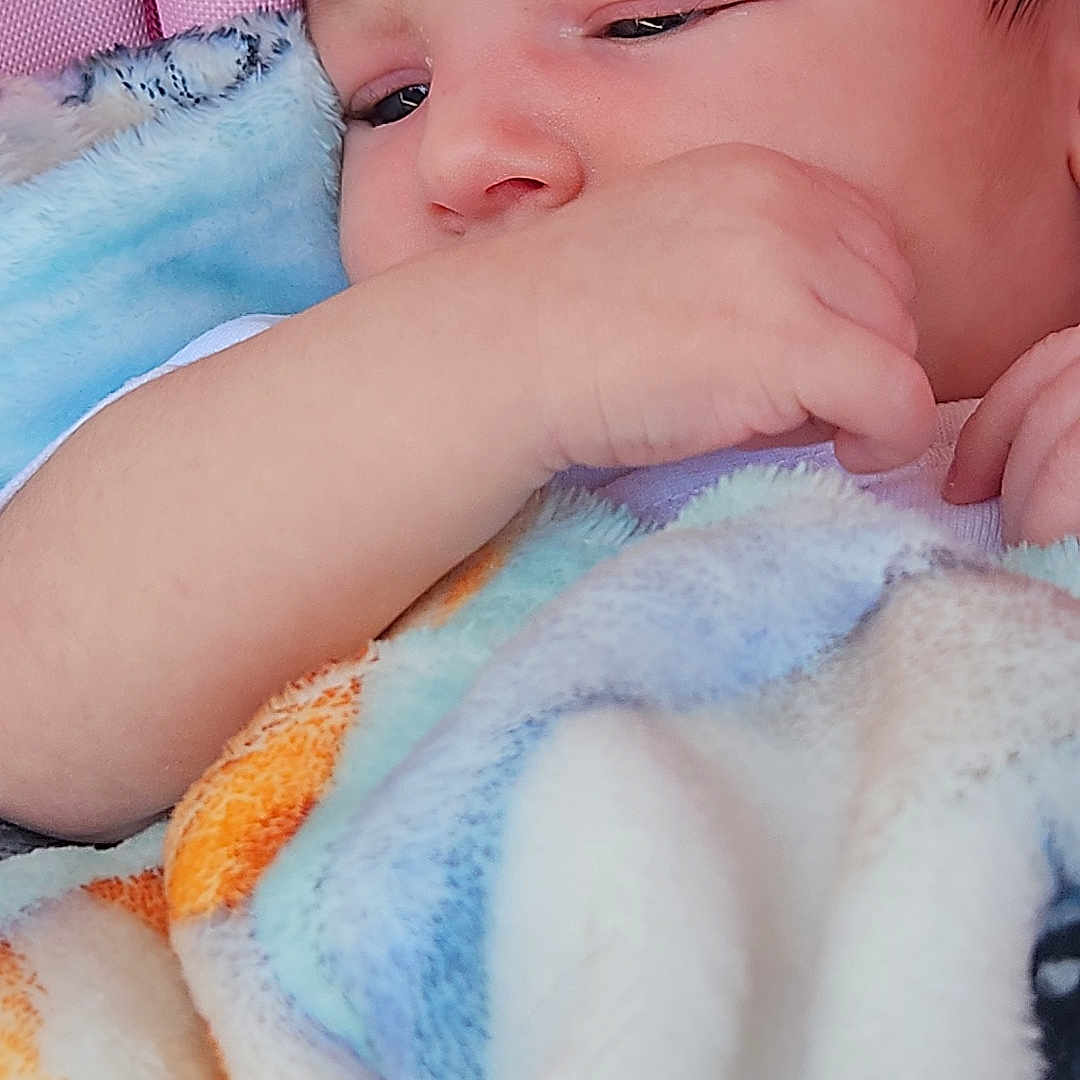 Ethan a rejoint le concours — aidez-le/la à gagner de superbes lots ! animal, baby, bed, blanket, bodypart, canine, dog, face, finger, furniture, hand, head, newborn, person, pet, photography, portrait, quilt, sleeping, towel