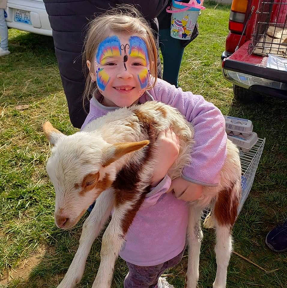 Mayelea is registered to the contest to win money with this photo: chair, companion_dog, dog_breed, event, eyewear, fawn, fun, fur, goat, goats, grass, happy, hat, head, joy, leisure, livestock, person, recreation, shorts