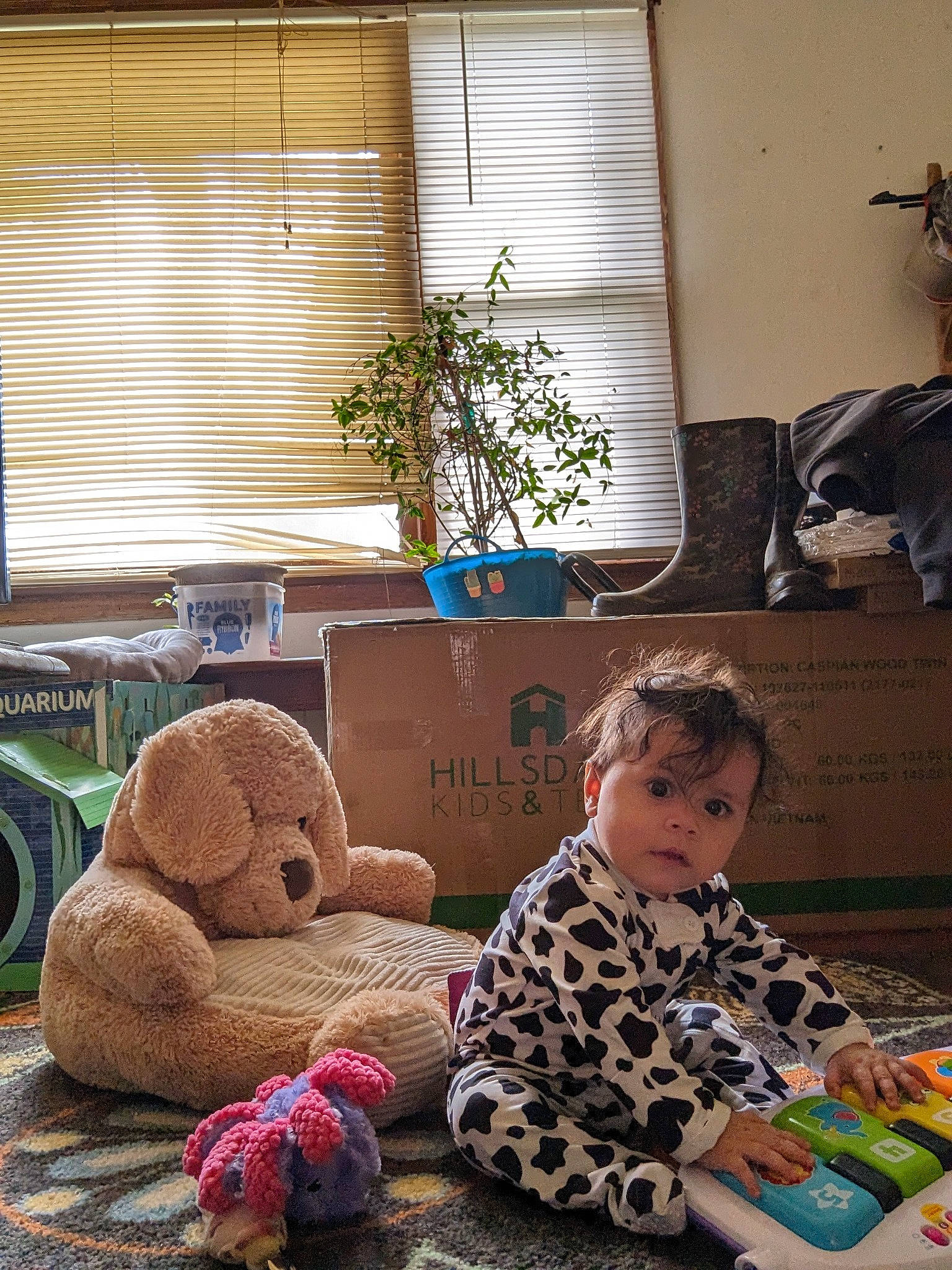 Sophie joined the competition — help win amazing prizes! baby, carpet, child, comfort, flooring, flowerpot, houseplant, linens, living_room, person, plant, play, room, sitting, stuffed_toy, textile, toddler, toy, window_blind, wood