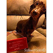 Mr Kipling is registered to the contest to win money with this photo: