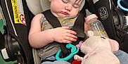 Paisley is registered to the contest to win money with this photo: baby, bottle, car_seat, child, clothing, cute, face, hair, hand, head, indoor, infant, pacifier_clip, plush_toy, relaxed, rest, seatbelt, sleeping, toddler, toy
