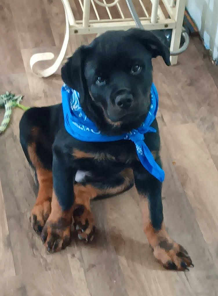Max