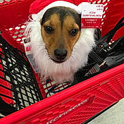 Max is registered to the contest to win money with this photo: