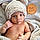 Dashiell