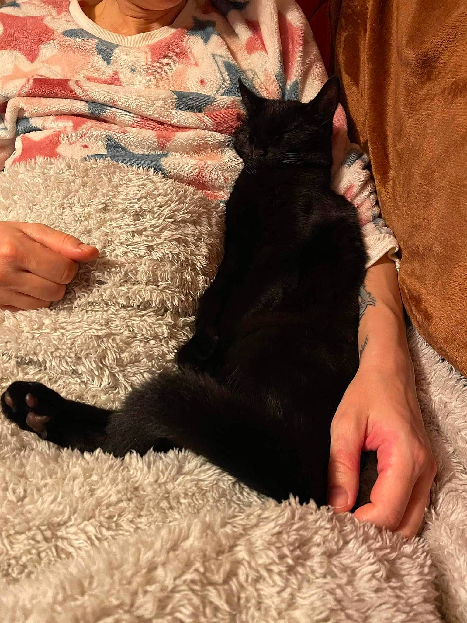 Luna Rose is registered to the contest to win money with this photo: carnivore, cat, comfort, companion_dog, dog_breed, felidae, finger, flooring, foot, gesture, human_leg, lap, leg, linens, nail, small_to_medium_sized_cats, tail, textile, thigh, whiskers