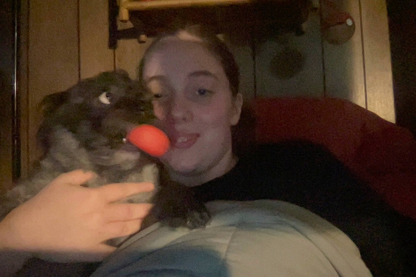 Faithy is registered to the contest to win money with this photo: black_hair, carnivore, comfort, companion_dog, dog_breed, ear, eye, eyebrow, fawn, felidae, finger, gesture, head, iris, jaw, mouth, neck, nose, small_to_medium_sized_cats, whiskers