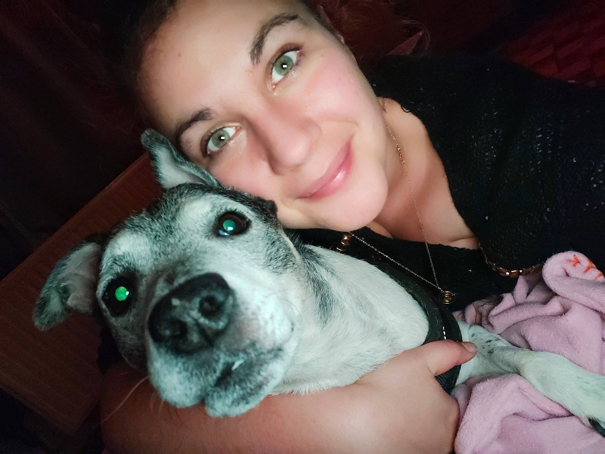 Gypso a rejoint le concours — aidez-le/la à gagner de superbes lots ! black_hair, carnivore, cheek, companion_dog, dog, dog_breed, ear, eyebrow, eyelash, fawn, flash_photography, fur, gesture, happy, jaw, nose, skin, smile, snout, whiskers