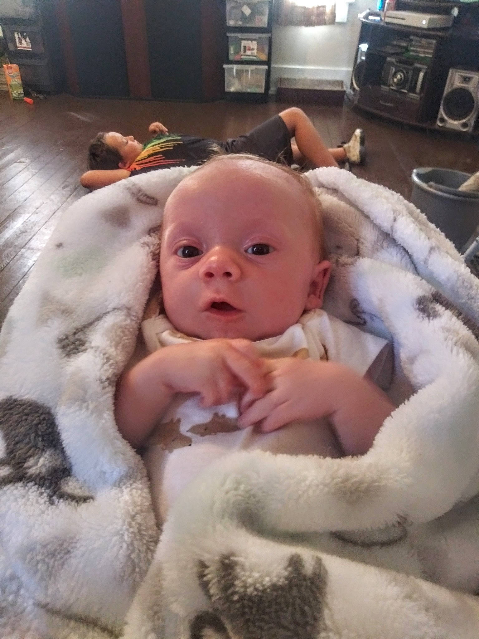 Gavin joined the competition — help win amazing prizes! audio_equipment, baby, cheek, child, comfort, cooktop, eye, flooring, fur, gas_stove, home_appliance, kitchen_appliance, kitchen_stove, linens, person, room, skin, stove, television, toddler
