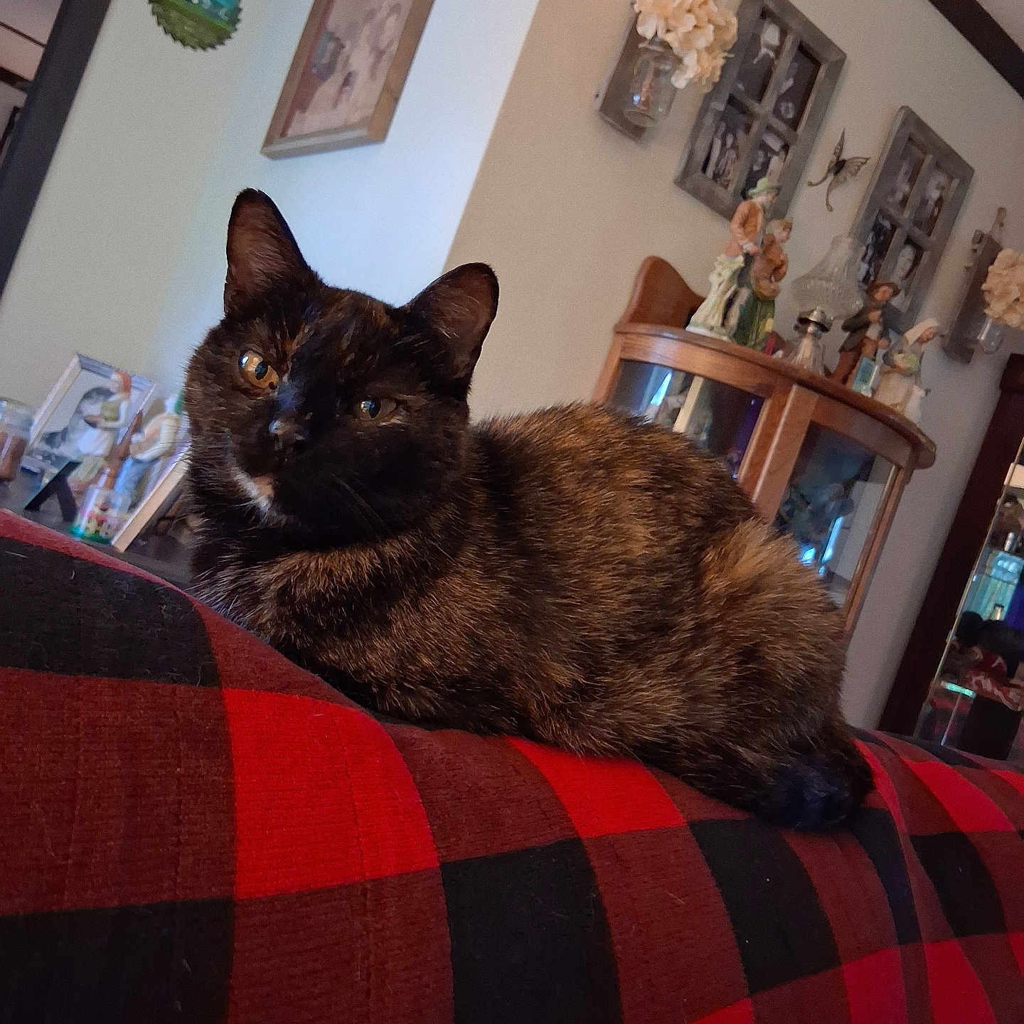 Speckles