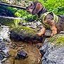 Aloha participe au concours pour gagner de l'argent avec cette photo : dog, dachshund, green_harness, rocks, moss, creek, water, bridge, trees, greenery, outdoor, nature, pet, animal, side_view, canine, riverbank, landscape, small_dog, curious
