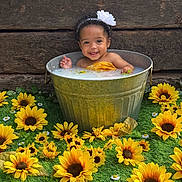 Alea is registered to the contest to win money with this photo: baby, child, bucket, flower, sunflower, grass, wood, headband, smiling, water, milky_water, greenery, nature, portrait, outdoor, cute, happy, infant, yellow, flower_arrangement