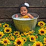 baby, child, bucket, flower, sunflower, grass, wood, headband, smiling, water, milky_water, greenery, nature, portrait, outdoor, cute, happy, infant, yellow, flower_arrangement