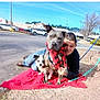 man, dog, pitbull, small_dog, red_blanket, scarf, leash, parking_lot, pavement, tree, sky, cars, buildings, outdoors, sitting, cuddling, portrait, human, pet, accessory