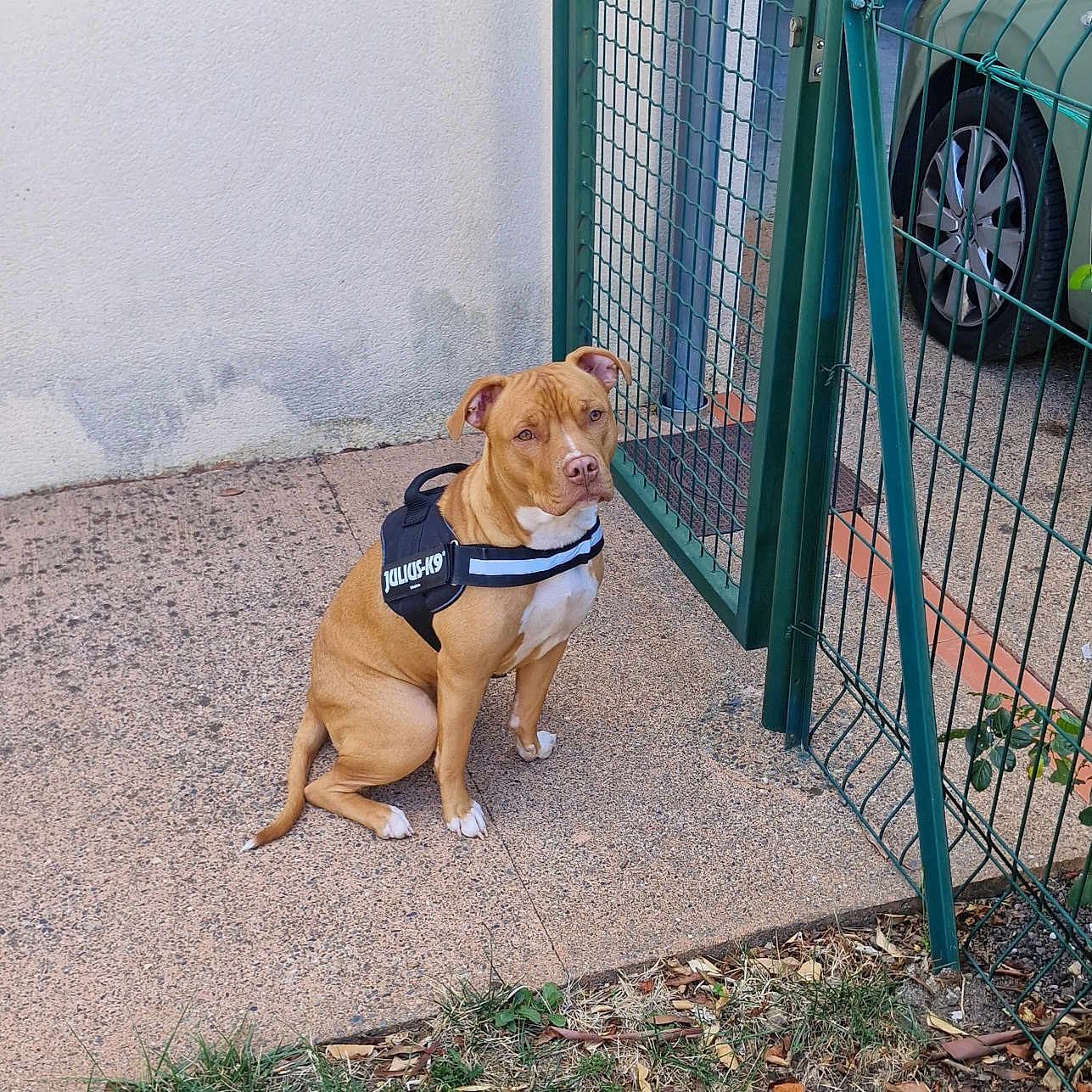 Kiara