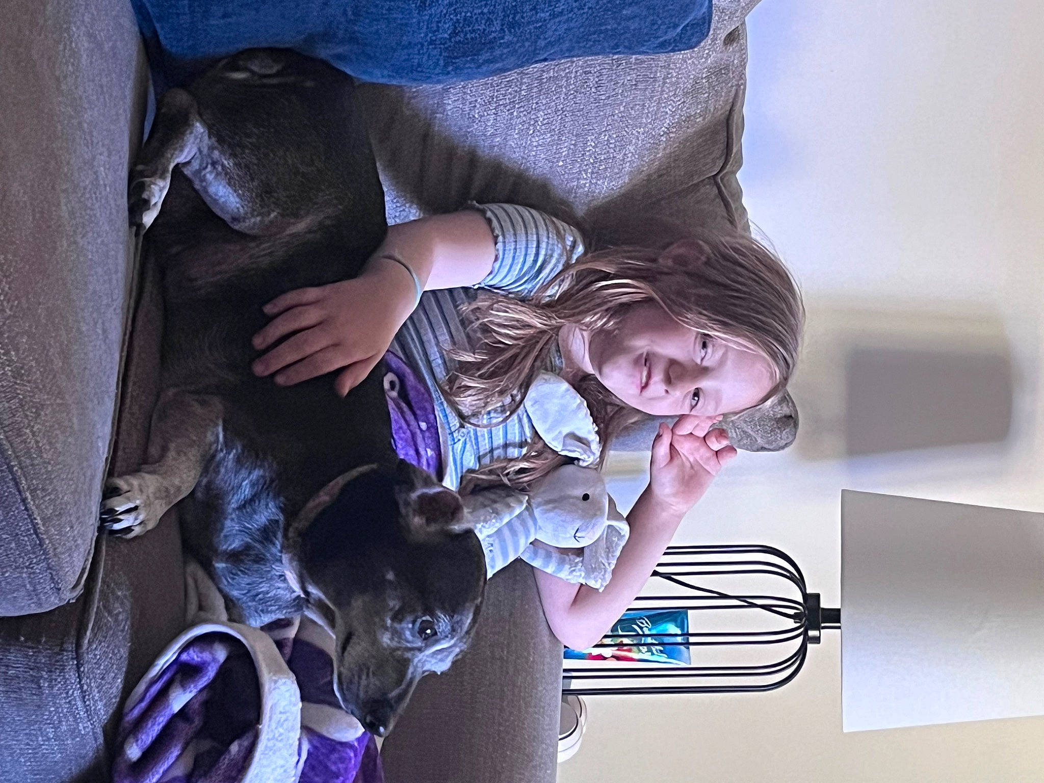 Pyper joined the competition — help win amazing prizes! child, comfort, dog, dog_breed, electric_blue, fun, joy, magenta, person, purple, room, toddler, tree, violet, visual_arts