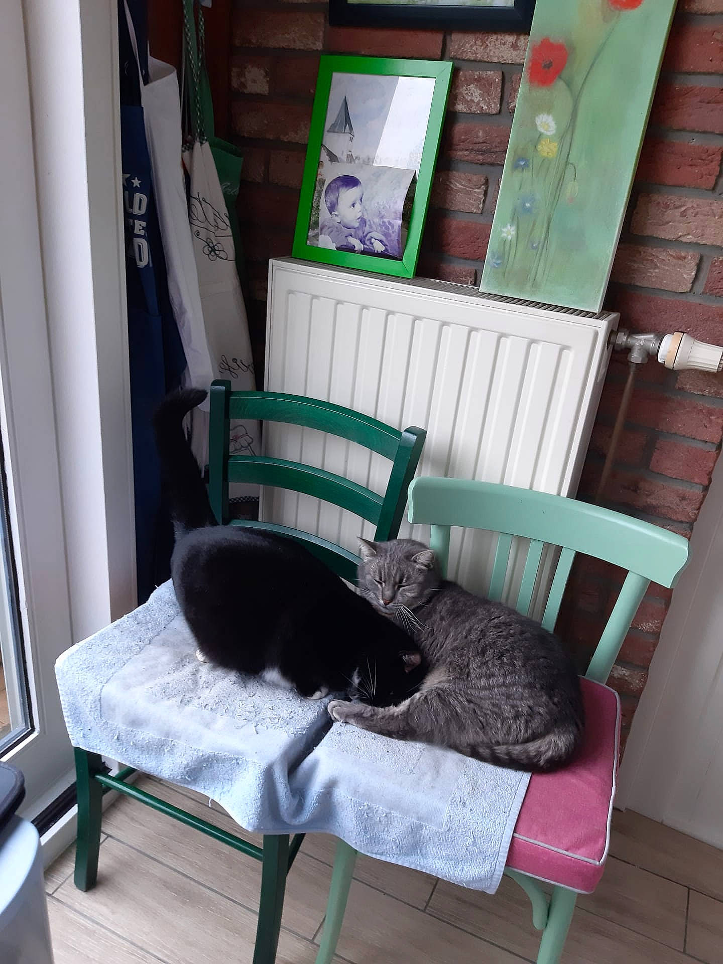 Chipie a rejoint le concours — aidez-le/la à gagner de superbes lots ! black, carnivore, cat, chair, comfort, felidae, flooring, fur, furniture, green, hardwood, home, house, interior_design, living_room, outdoor_furniture, product, room, small_to_medium_sized_cats, tail