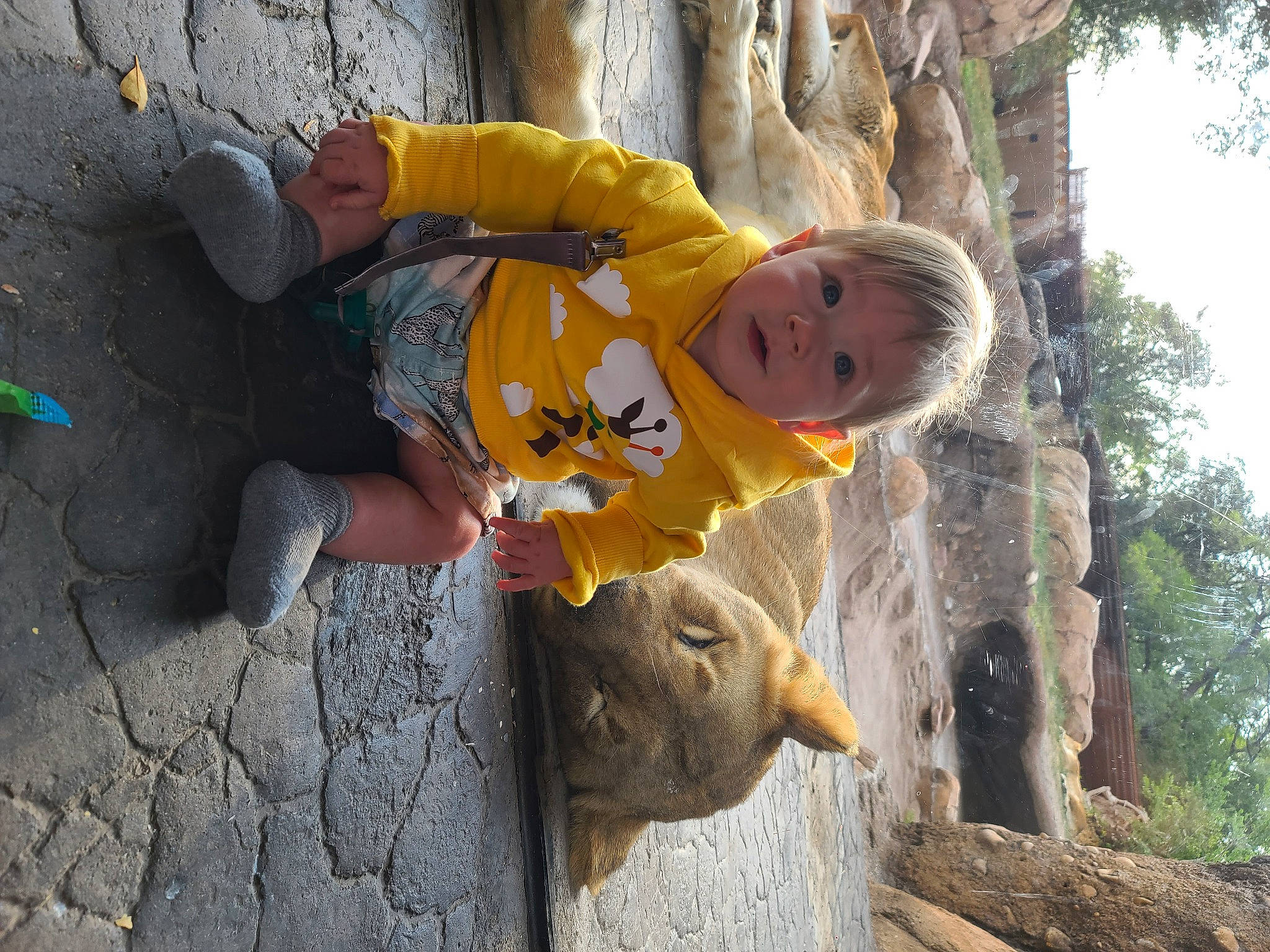 Mattox is registered to the contest to win money with this photo: _geese_and_swans, beak, child, duck, ducks, fun, hat, head, leisure, organism, people_in_nature, person, plant, recreation, rock, sitting, sky, toddler, tree, trunk