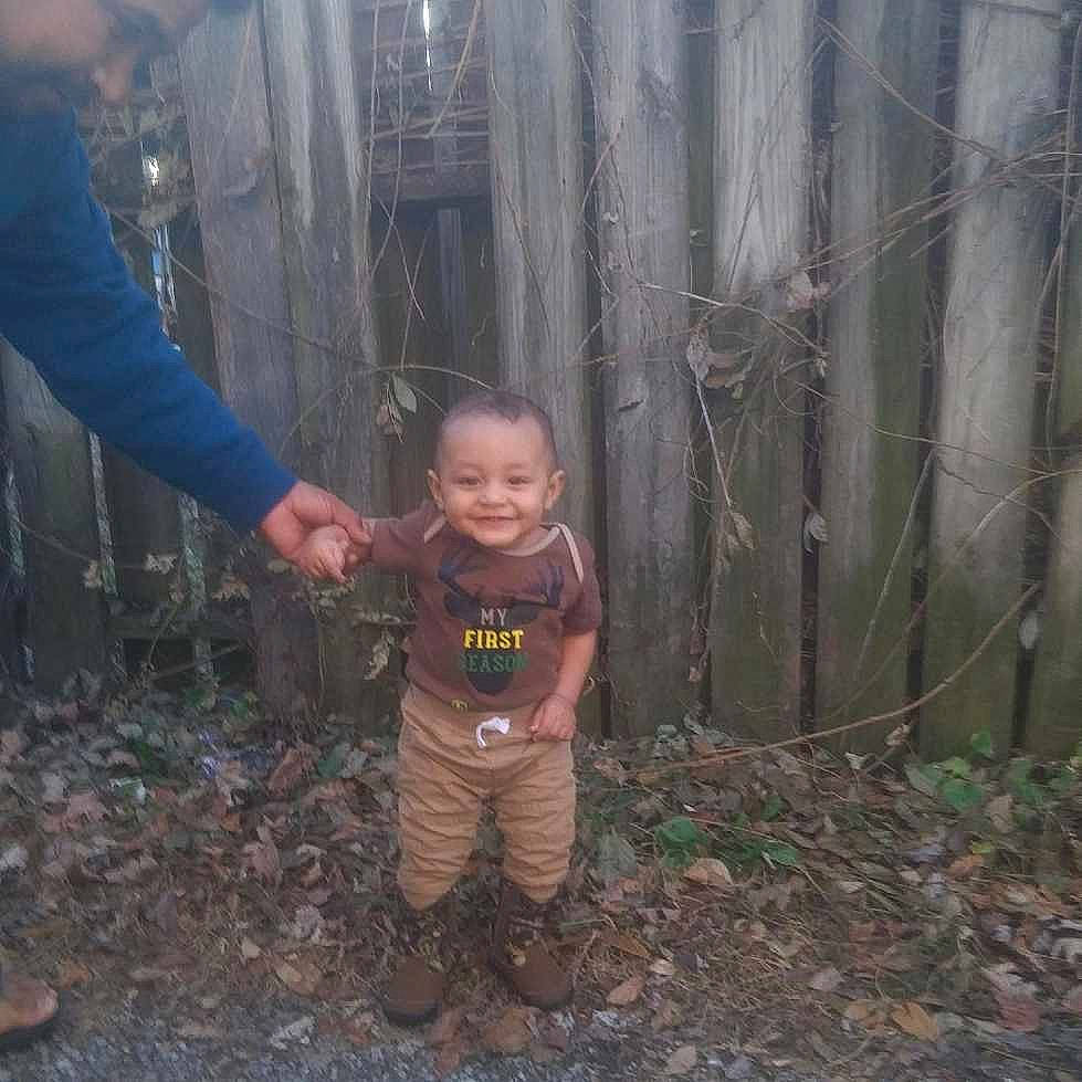 Lyrik joined the competition — help win amazing prizes! child, forest, joy, jungle, person, plant, smile, standing, toddler, tree, woodland