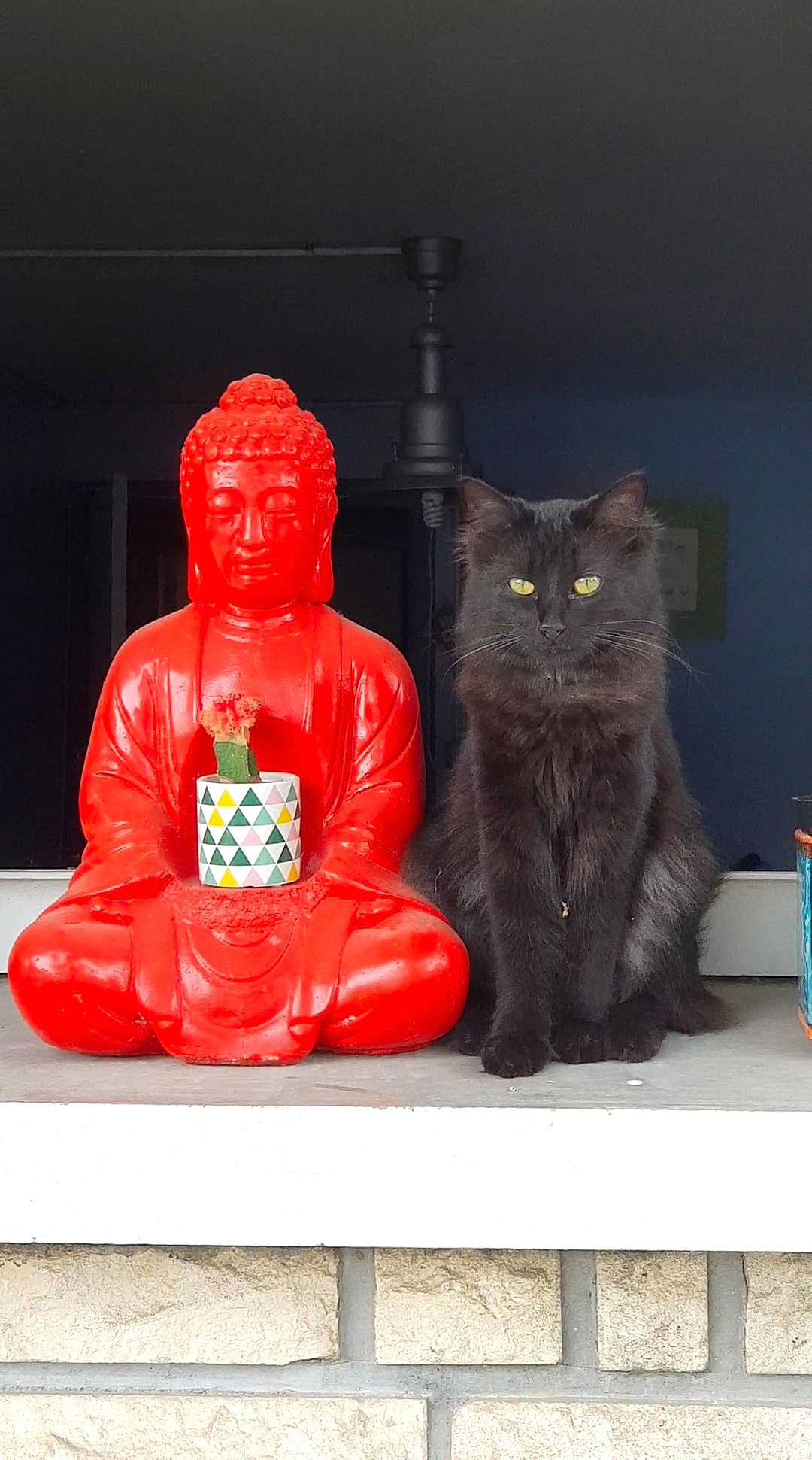 Regliss' participe au concours pour gagner de l'argent avec cette photo : art, artifact, black_cat, carnivore, cat, clay, domestic_short_haired_cat, felidae, fur, guru, meditation, metal, monk, sculpture, sitting, small_to_medium_sized_cats, statue, tail, whiskers, wood