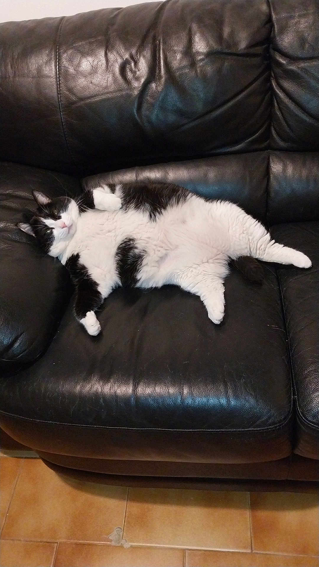 Nynna