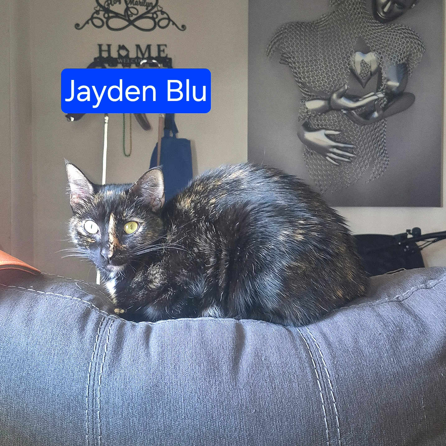 Jayden Blu