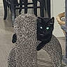 black_cat, cat, scratching_post, furniture, indoor, carpet, wicker_basket, pet, animal, paw, ears, relaxing, home, cozy, feline, cute, dark_fur, glowing_eyes, playful, resting