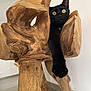 black_cat, cat, wood, wooden_sculpture, paw, curious, indoor, floor, carving, animal, pet, feline, claw, nature, texture, branch, creature, eyes, playful, home