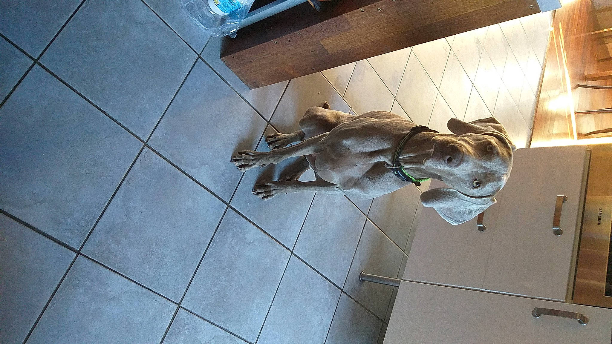 Oya a rejoint le concours — aidez-le/la à gagner de superbes lots ! art, bronze, ceiling, floor, flooring, glass, hardwood, human_leg, metal, molding, room, sculpture, shadow, tail, tile, tile_flooring, transparent_material, visual_arts, wood