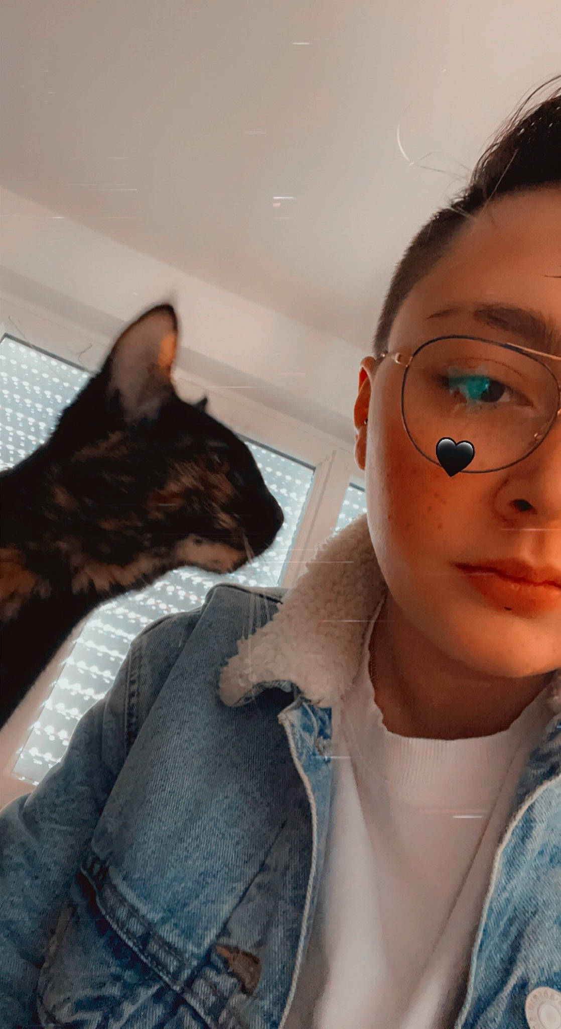 Onix a rejoint le concours — aidez-le/la à gagner de superbes lots ! carnivore, cat, comfort, ear, eyebrow, eyelash, felidae, gesture, glasses, goggles, head, jaw, mouth, neck, organ, shoulder, skin, sunglasses, textile, vision_care