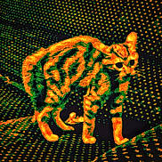 Tisy a rejoint le concours — aidez-le/la à gagner de superbes lots ! cat, animal, orange, green, pattern, stylized, pixelated, feline, sitting, texture, abstract, digital_art, spots, fur, background, contrast, colorful, artistic, indoor, design