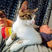 Olivia is registered to the contest to win money with this photo: background, blanket, casual, cat, closeup, comfort, cozy, domestic_animal, furniture, glasses, indoor, person, pet, portrait, relaxing, resting, sleeping, smiling, tabby_cat, white_cat