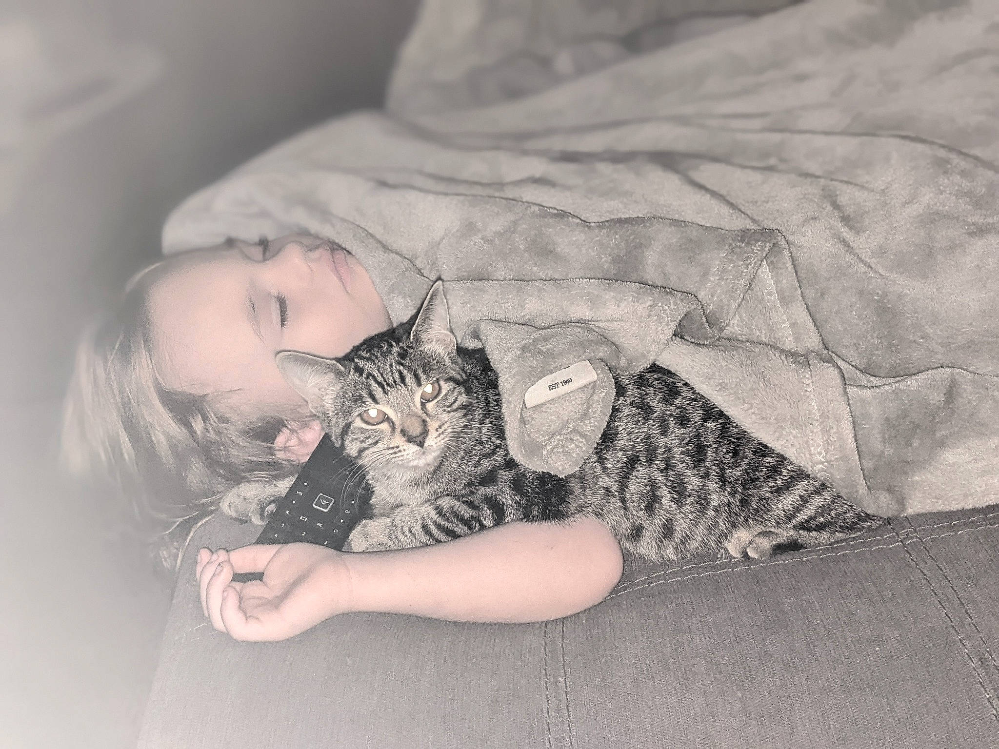 Christian joined the competition — help win amazing prizes! carnivore, cat, child, comfort, domestic_short_haired_cat, felidae, flash_photography, fur, gesture, grass, grey, hand, human_leg, nail, person, sitting, skin, small_to_medium_sized_cats, thigh, tree